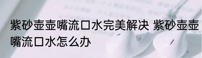 紫砂壶壶嘴流口水完美解决 紫砂壶壶嘴流口水怎么办