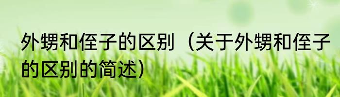 外甥和侄子的区别（关于外甥和侄子的区别的简述）