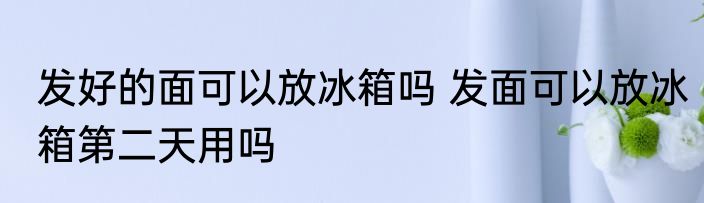 发好的面可以放冰箱吗 发面可以放冰箱第二天用吗