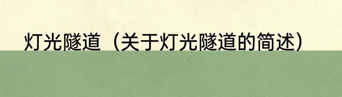 灯光隧道（关于灯光隧道的简述）