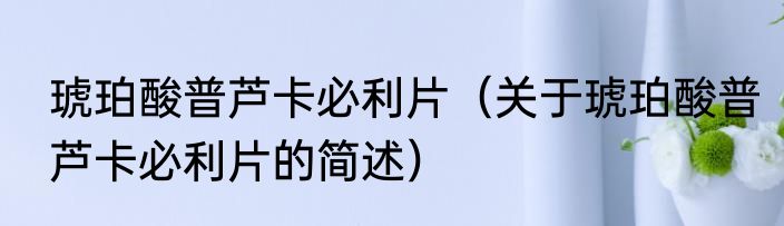 琥珀酸普芦卡必利片（关于琥珀酸普芦卡必利片的简述）