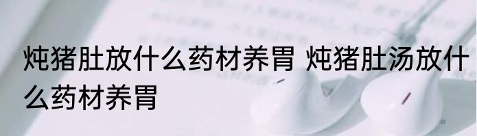 炖猪肚放什么药材养胃 炖猪肚汤放什么药材养胃