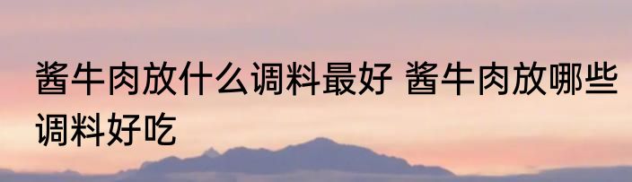 酱牛肉放什么调料最好 酱牛肉放哪些调料好吃