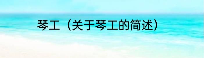 琴工（关于琴工的简述）