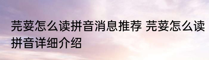 琴谱合璧（关于琴谱合璧的简述）