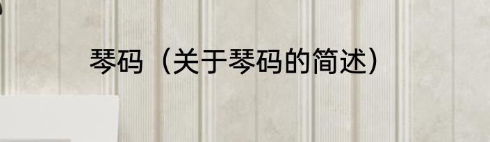 琴码（关于琴码的简述）