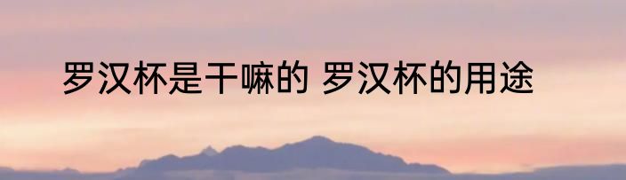 罗汉杯是干嘛的 罗汉杯的用途