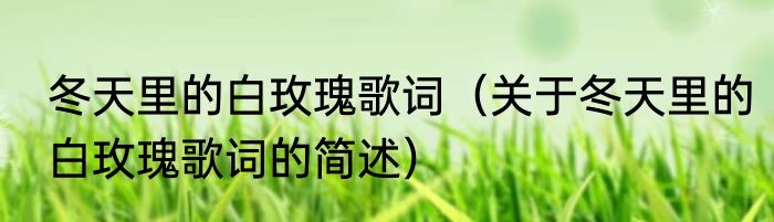 冬天里的白玫瑰歌词（关于冬天里的白玫瑰歌词的简述）