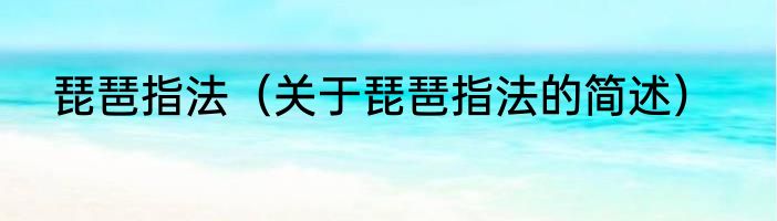 琵琶指法（关于琵琶指法的简述）