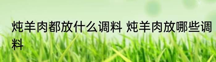 炖羊肉都放什么调料 炖羊肉放哪些调料
