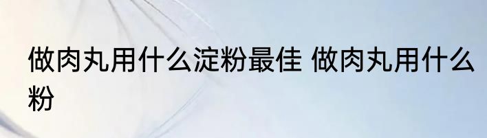 做肉丸用什么淀粉最佳 做肉丸用什么粉