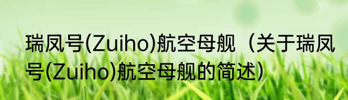 瑞凤号(Zuiho)航空母舰（关于瑞凤号(Zuiho)航空母舰的简述）