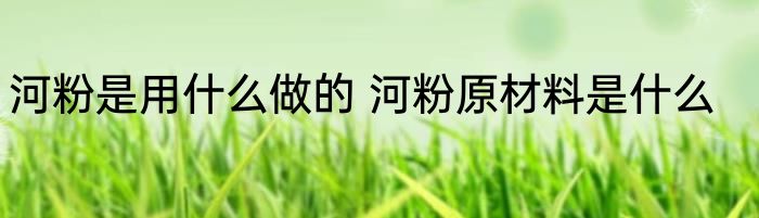 河粉是用什么做的 河粉原材料是什么