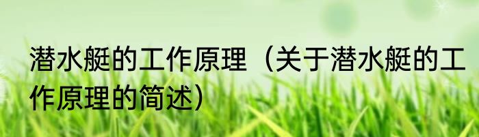 潜水艇的工作原理（关于潜水艇的工作原理的简述）