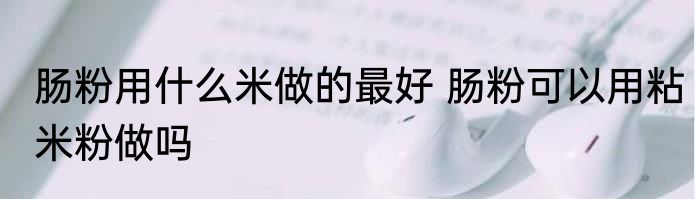 肠粉用什么米做的最好 肠粉可以用粘米粉做吗