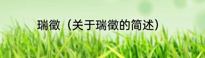 瑞徵（关于瑞徵的简述）