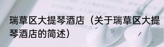 瑞草区大提琴酒店（关于瑞草区大提琴酒店的简述）
