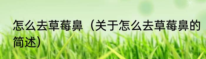 怎么去草莓鼻（关于怎么去草莓鼻的简述）