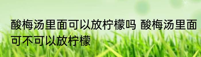 酸梅汤里面可以放柠檬吗 酸梅汤里面可不可以放柠檬