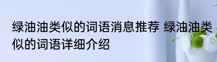 瑶光寺（关于瑶光寺的简述）