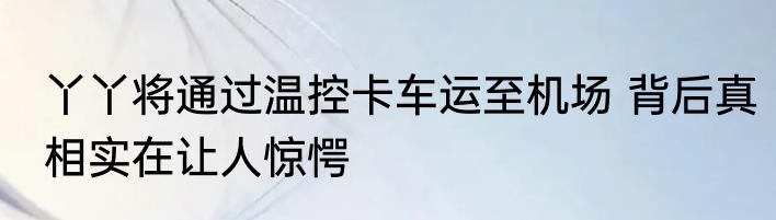 丫丫将通过温控卡车运至机场 背后真相实在让人惊愕