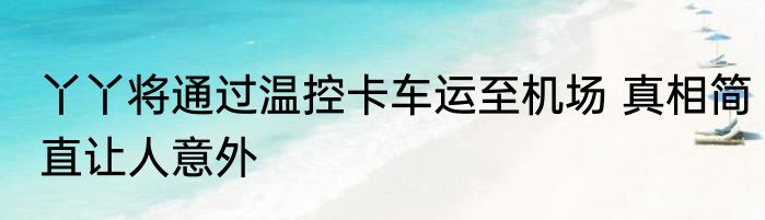 丫丫将通过温控卡车运至机场 真相简直让人意外
