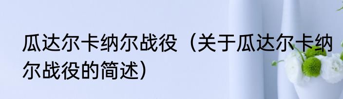 瓜达尔卡纳尔战役（关于瓜达尔卡纳尔战役的简述）