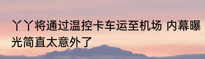 丫丫将通过温控卡车运至机场 内幕曝光简直太意外了