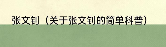 张文钊（关于张文钊的简单科普）
