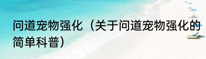 问道宠物强化（关于问道宠物强化的简单科普）