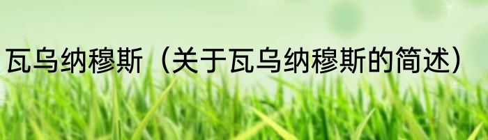 瓦乌纳穆斯（关于瓦乌纳穆斯的简述）