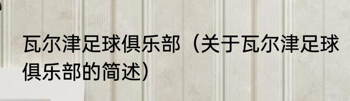 瓦尔津足球俱乐部（关于瓦尔津足球俱乐部的简述）