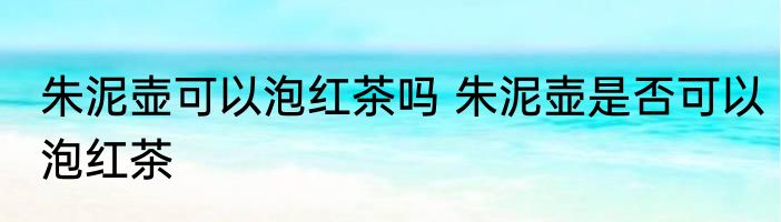 朱泥壶可以泡红茶吗 朱泥壶是否可以泡红茶
