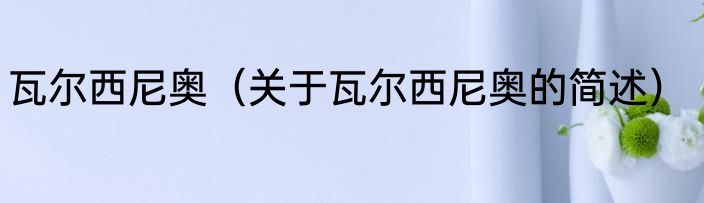 瓦尔西尼奥（关于瓦尔西尼奥的简述）
