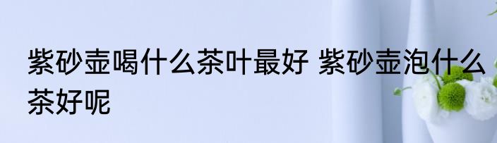 紫砂壶喝什么茶叶最好 紫砂壶泡什么茶好呢