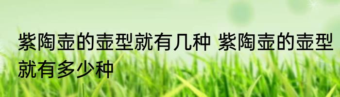 紫陶壶的壶型就有几种 紫陶壶的壶型就有多少种