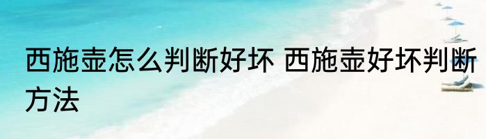 西施壶怎么判断好坏 西施壶好坏判断方法