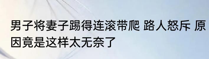 男子将妻子踢得连滚带爬 路人怒斥 原因竟是这样太无奈了