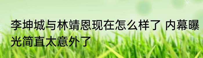 李坤城与林靖恩现在怎么样了 内幕曝光简直太意外了
