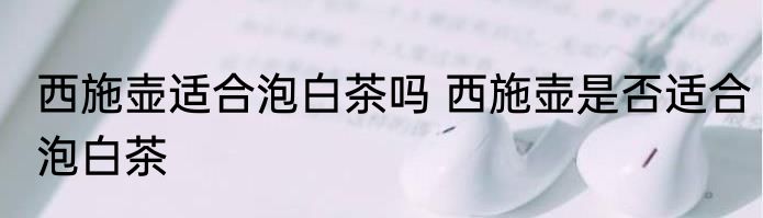 西施壶适合泡白茶吗 西施壶是否适合泡白茶
