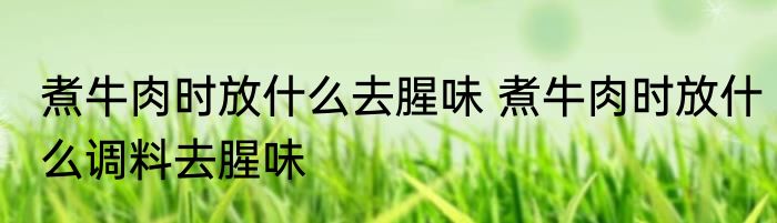 煮牛肉时放什么去腥味 煮牛肉时放什么调料去腥味