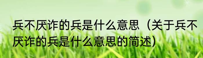 兵不厌诈的兵是什么意思（关于兵不厌诈的兵是什么意思的简述）