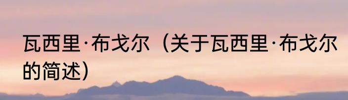 瓦西里·布戈尔（关于瓦西里·布戈尔的简述）