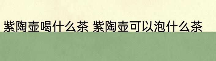紫陶壶喝什么茶 紫陶壶可以泡什么茶