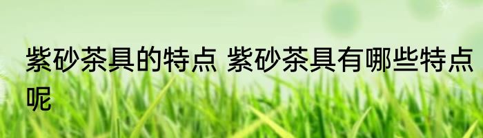 紫砂茶具的特点 紫砂茶具有哪些特点呢