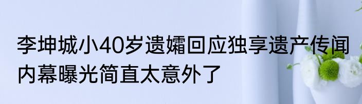 李坤城小40岁遗孀回应独享遗产传闻 内幕曝光简直太意外了