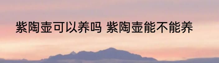 紫陶壶可以养吗 紫陶壶能不能养