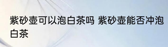 紫砂壶可以泡白茶吗 紫砂壶能否冲泡白茶