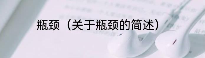瓶颈（关于瓶颈的简述）