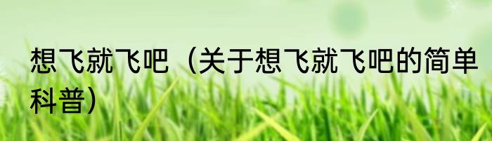 想飞就飞吧（关于想飞就飞吧的简单科普）